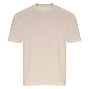 Ecologie Unisex Adult Arrow Recycled Heavy Oversized T-Shirt / Stone